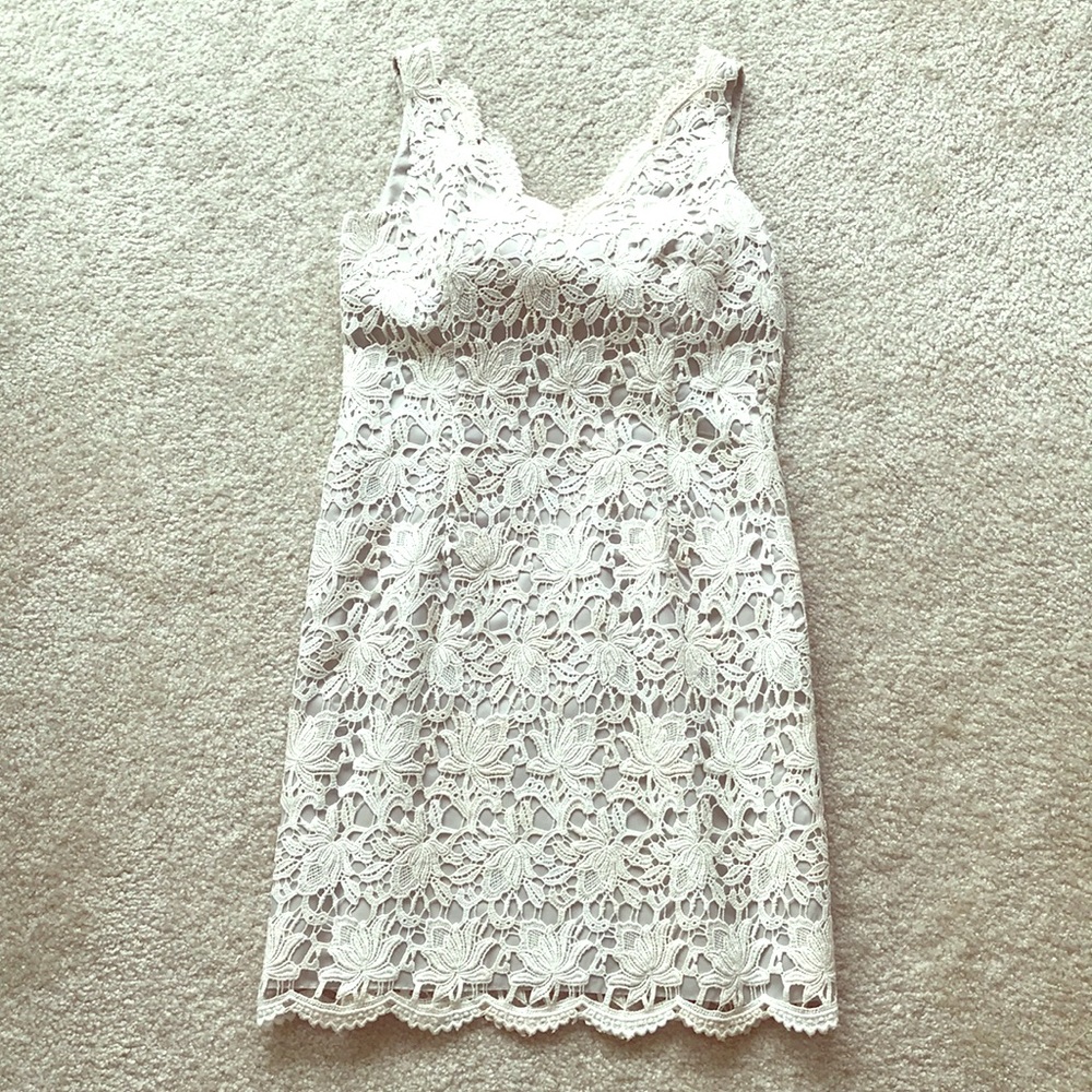 Ivory Ann Taylor dress